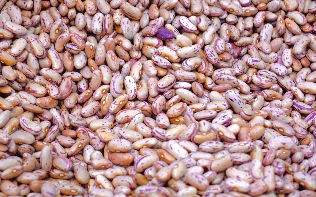 Non-Dairy Foods That Are High In Calcium